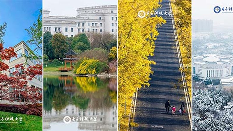 芯片的参数指标是衡量其性能的重要依据。在采购过程中，要关注以下关键指标：