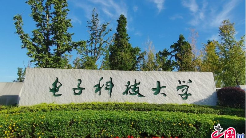 贴片二极管尺寸如何选择：关键因素与考量